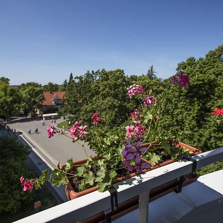Hotel Bellevue Tlapak Podebrady Bilik gambar