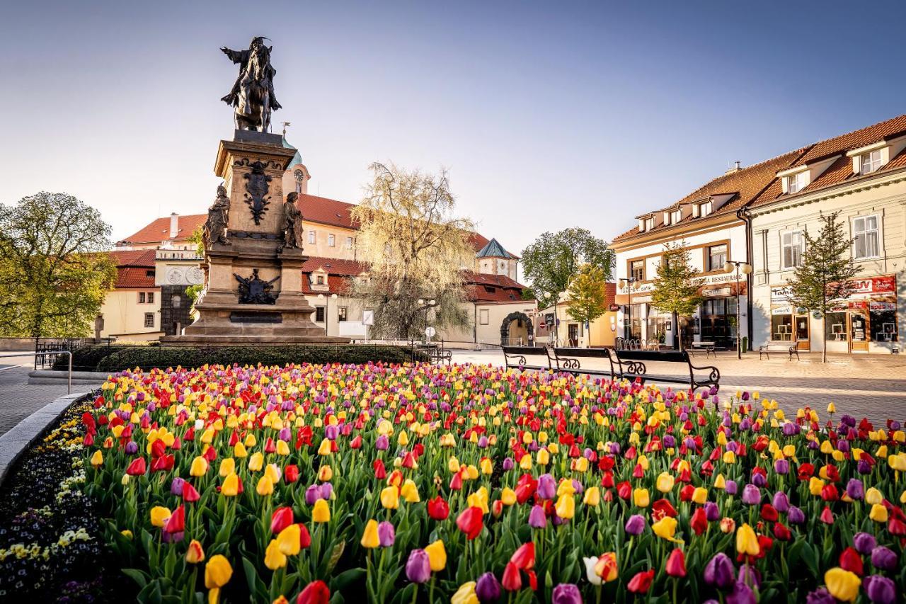 Hotel Bellevue Tlapak Podebrady Luaran gambar