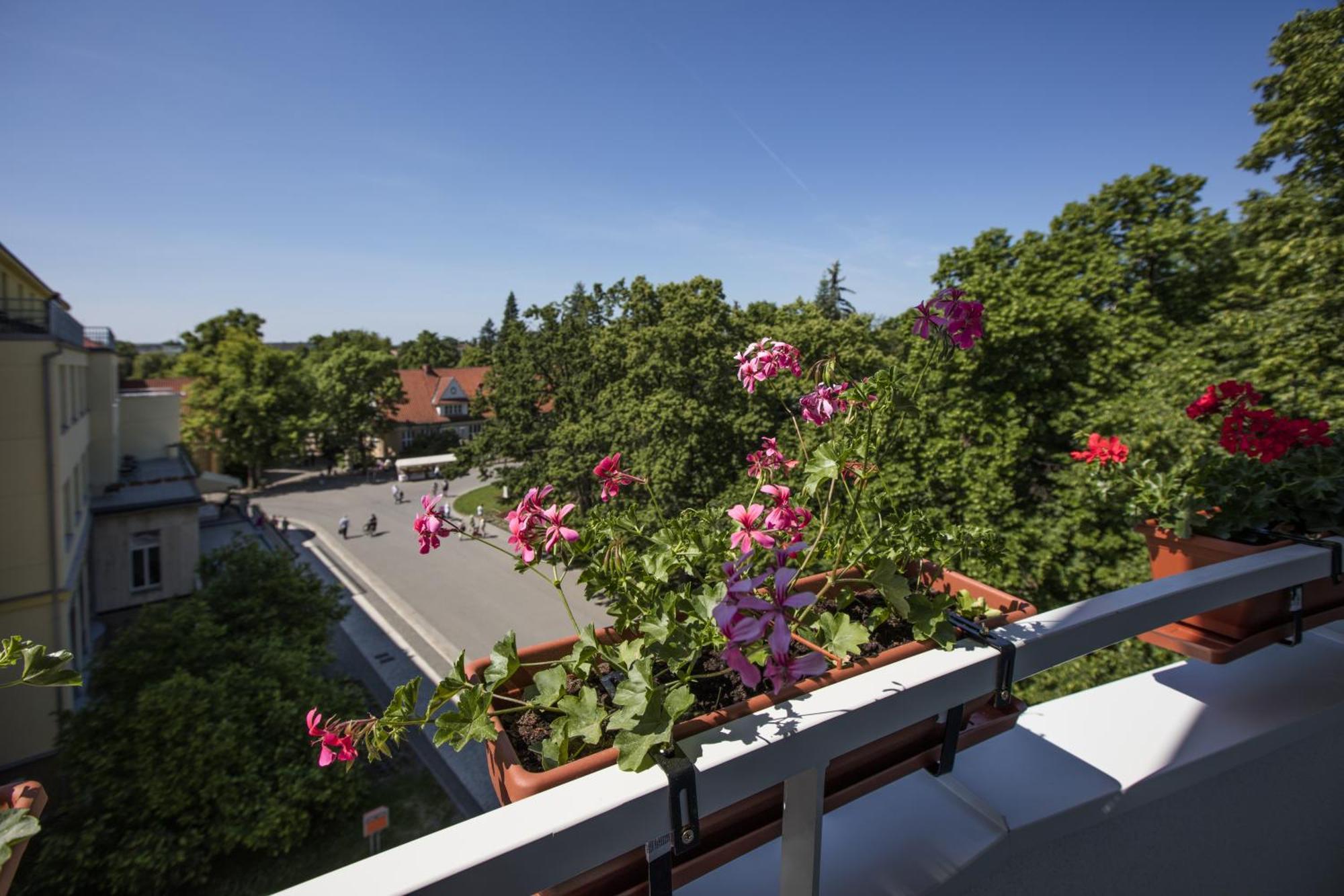 Hotel Bellevue Tlapak Podebrady Bilik gambar